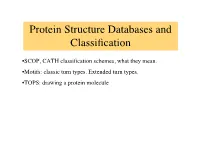 Protein Structure Databases and Classification