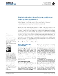 Exploring the Function of Neural Oscillations in Early Sensory Systems