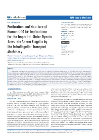 Implications for the Import of Outer Dynein Arms Into Sperm Flagella by the Intraflagellar Transport Machinery