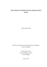 Leeds Thesis Template