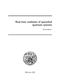 Real-Time Evolution of Quenched Quantum Systems