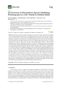 An Overview of Phytophthora Species Inhabiting Declining Quercus Suber Stands in Sardinia (Italy)