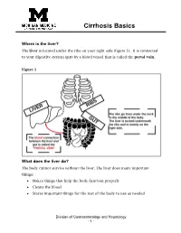 Cirrhosis Basics