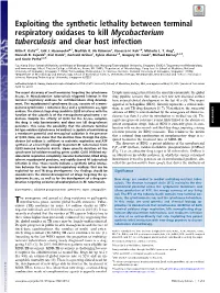Exploiting the Synthetic Lethality Between Terminal Respiratory Oxidases to Kill Mycobacterium Tuberculosis and Clear Host Infection