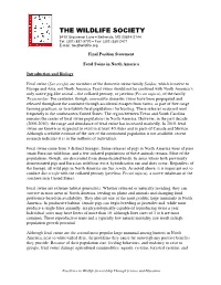 Position Statement