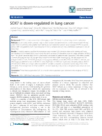 SOX7 Is Down-Regulated in Lung Cancer