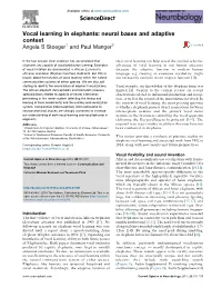 Vocal Learning in Elephants: Neural Bases and Adaptive Context