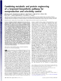 Combining Metabolic and Protein Engineering of a Terpenoid Biosynthetic Pathway for Overproduction and Selectivity Control