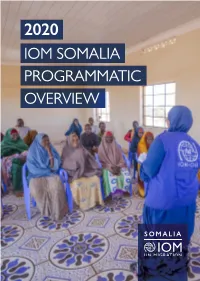 Iom Somalia Programmatic Overview