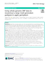 Using Whole-Genome SNP Data to Reconstruct a Large Multi-Generation