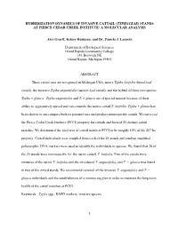 Hybridization Dynamics of Invasive Cattail (Typhaceae) Stands at Pierce Cedar Creek Institute: a Molecular Analysis