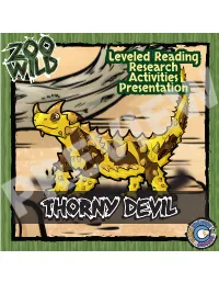 Leveled Reading Research Activities Presentation Leveled Reading