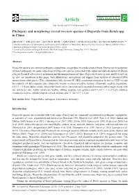 Phylogeny and Morphology Reveal Two New Species of Diaporthe from Betula Spp