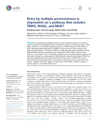 Entry by Multiple Picornaviruses Is Dependent on a Pathway That Includes TNK2, WASL, and NCK1 Hongbing Jiang*, Christian Leung, Stephen Tahan, David Wang*