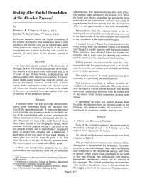 Healing After Partial Denudation of the Alveolar Process&lt;Link Href="#Fn 1"/&gt;