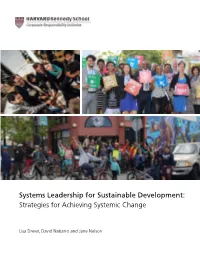 Systems Leadership for Sustainable Development: Strategies for Achieving Systemic Change