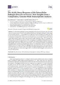 The Acidic Stress Response of the Intracellular Pathogen Brucella Melitensis: New Insights from a Comparative, Genome-Wide Transcriptome Analysis