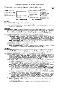 YEARLING, Consigned by Glidawn Stud, Ireland