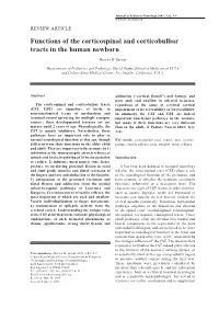 Functions of the Corticospinal and Corticobulbar Tracts in the Human Newborn