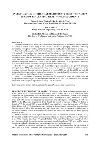 Investigation of the Traumatic Rupture of the Aorta (Tra) by Simulating Real-World Accidents