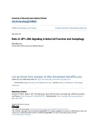 Role of JIP1-JNK Signaling in Beta-Cell Function and Autophagy