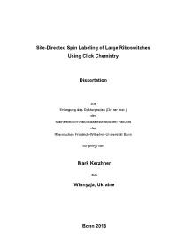 Site-Directed Spin Labeling of Large Riboswitches Using Click Chemistry