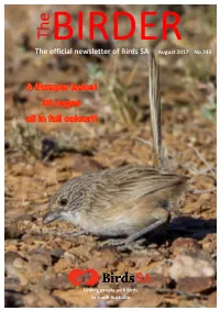 The Birder, August 2017, Part 1