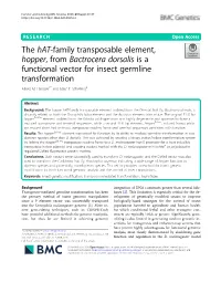 The Hat-Family Transposable Element, Hopper, from Bactrocera Dorsalis Is a Functional Vector for Insect Germline Transformation Alfred M