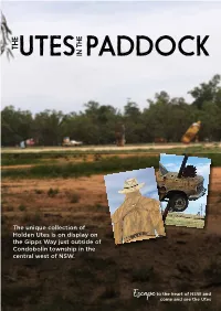 Utes-In-The-Paddock