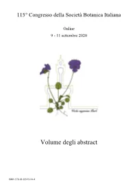 Volume Degli Abstract