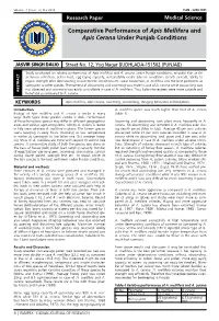 Comparative Performance of Apis Mellifera and Apis Cerana Under Punjab Conditions