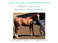 Mandoc: Becoming the Main BSD Manual Toolbox