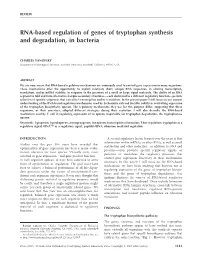 RNA-Based Regulation of Genes of Tryptophan Synthesis and Degradation, in Bacteria
