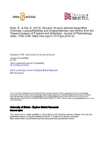 Kelly, R., & Nel, A. (2018). Revision