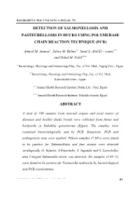 Detection of Salmonellosis and Pasteurellosis in Ducks Using Polymerase Chain Reaction Technique (Pcr)