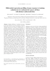 Differential Expression Profiling of Gene Response to Ionizing Radiation in Two Endometrial Cancer Cell Lines with Distinct Radiosensitivities