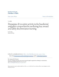 Dopamine D1 Receptor Activity in the Basolateral Amygdala Is Important for Mediating Fear, Reward and Safety Discrimination Learning Ka Ho Ng Purdue University