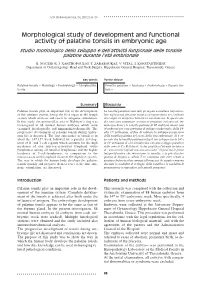 Morphological Study of Development and Functional Activity of Palatine