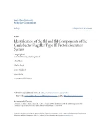 Identification of the Flii and Flij Components of the Caulobacter Flagellar Type III Protein Secretion System