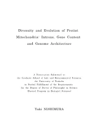 Introns, Gene Content and Genome Architecture
