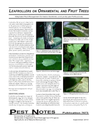 Leafrollers on Ornamental and Fruit Trees