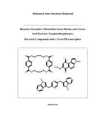 Mohamed Attia Shaaban Mahmoud Bioactive Secondary Metabolites
