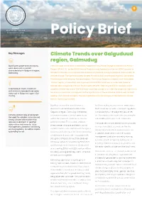 Policy Brief