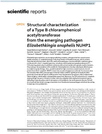 Structural Characterization of a Type B Chloramphenicol Acetyltransferase from the Emerging Pathogen Elizabethkingia Anophelis N