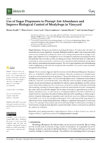 Use of Sugar Dispensers to Disrupt Ant Attendance and Improve Biological Control of Mealybugs in Vineyard