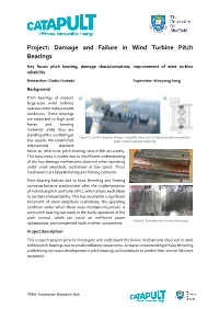 Project: Damage and Failure in Wind Turbine Pitch Bearings