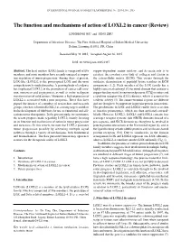 The Function and Mechanisms of Action of LOXL2 in Cancer (Review)