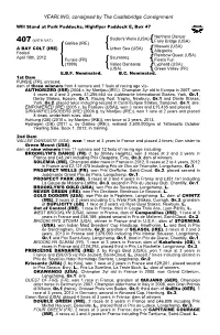 YEARLING, Consigned by the Castlebridge Consignment