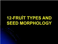 12-Fruit and Seed Types, Seed Morphology
