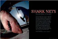 The Real Killers of the Sea?